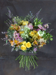 Similar image 22053428