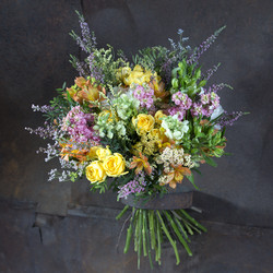 Similar image 22053435