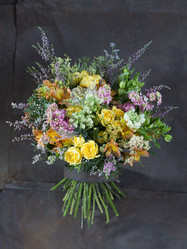 Similar image 22053436