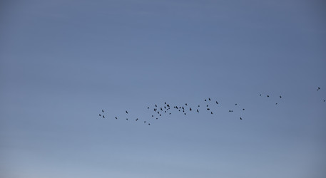 Similar image 22054335