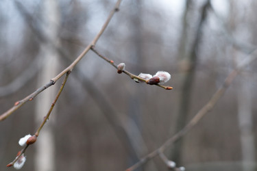 Similar image 22054338