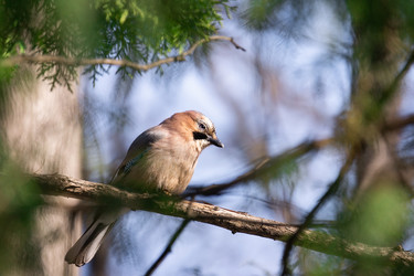 Similar image 22053616