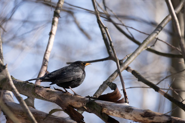 Similar image 22053631