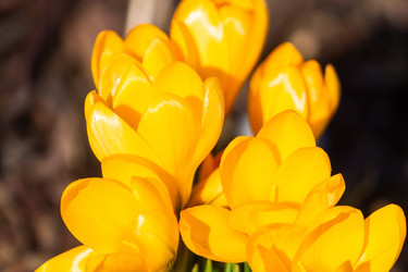 Similar image 22053634