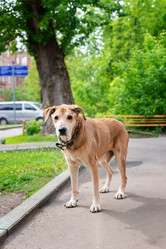 Similar image 22053647