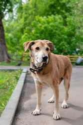 Similar image 22053655