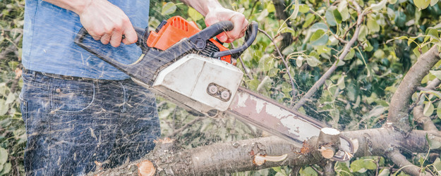 Similar image 22053457