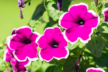 Similar image 22054019