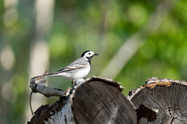 Similar image 22054045