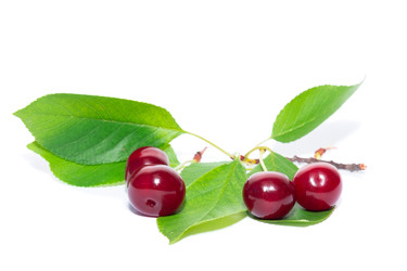 Similar image 22054049