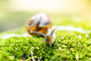 Similar image 22054059