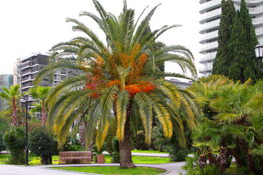 Similar image 22054502