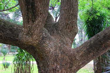 Similar image 22054503