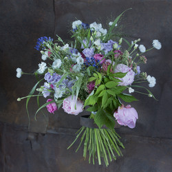 Similar image 22053736