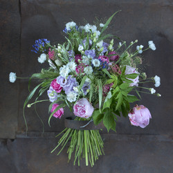 Similar image 22053737