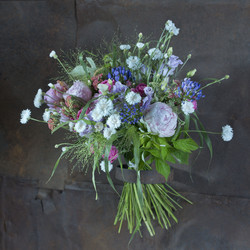 Similar image 22053739