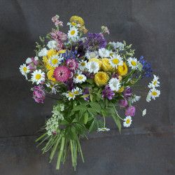 Similar image 22053748