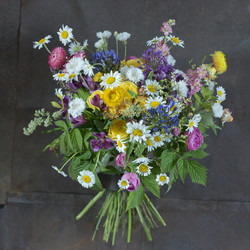 Similar image 22053749