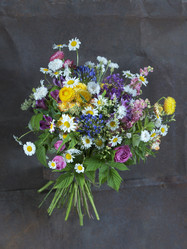 Similar image 22053750