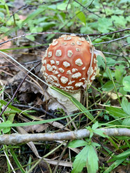 Similar image 22054356