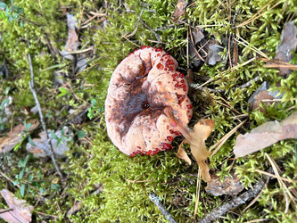 Similar image 22054357