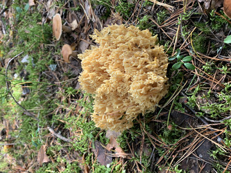 Similar image 22054359