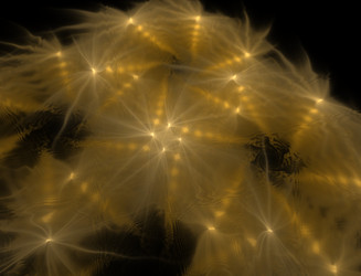 Similar image 22053987