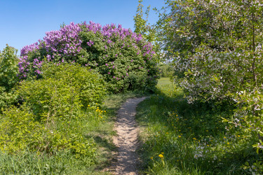 Similar image 22054881