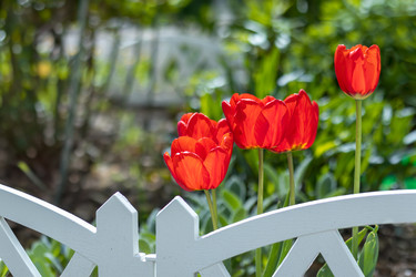 Similar image 22054883