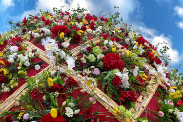 Similar image 22054912