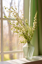 Similar image 22054920