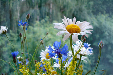 Similar image 22054952