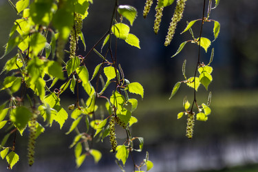 Similar image 22054959