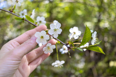 Similar image 22054963