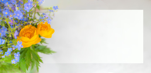 Similar image 22054964