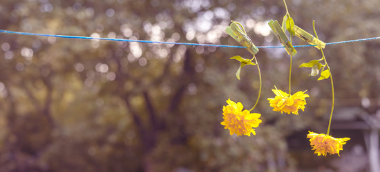 Similar image 22054978