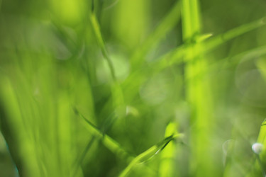 Similar image 22054984