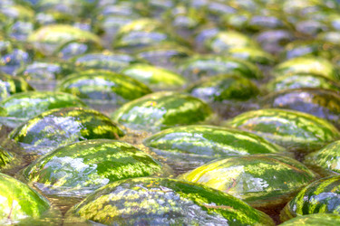 Similar image 22054987