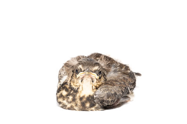 Similar image 22054071