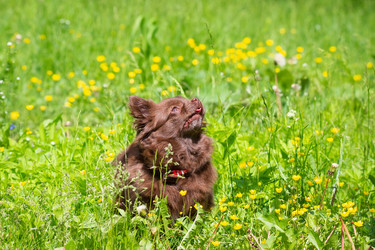 Similar image 22054072