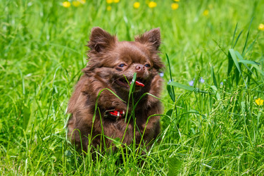 Similar image 22054084