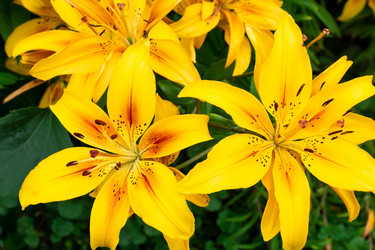 Similar image 22054085