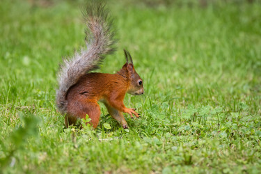 Similar image 22054086