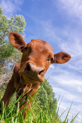 Similar image 22054088