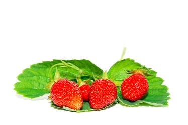 Similar image 22054090