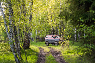 Similar image 22054111