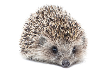 Similar image 22054114