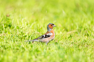 Similar image 22054118