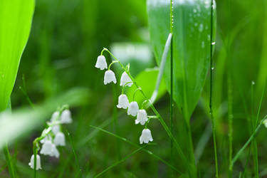 Similar image 22054125