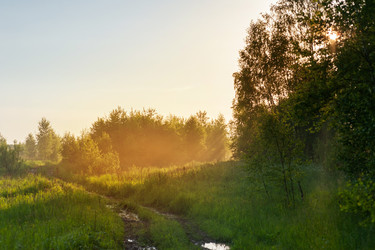 Similar image 22054127